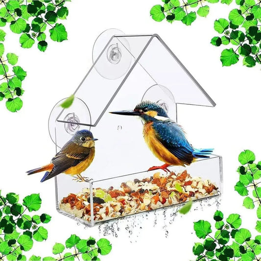 Clear Acrylic Window Bird Feeder with Suction Cups for Outdoor Birding