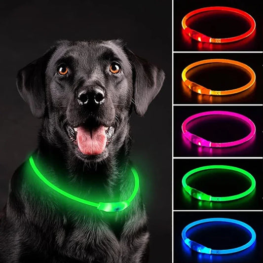 Led Dog Collar Luminous Usb Cat Dog Collar 3 Modes Led Light