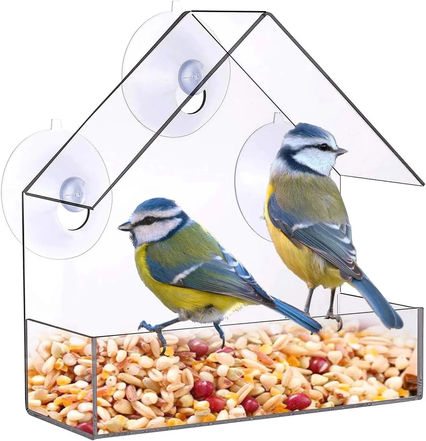 Clear Acrylic Window Bird Feeder with Suction Cups for Outdoor Birding